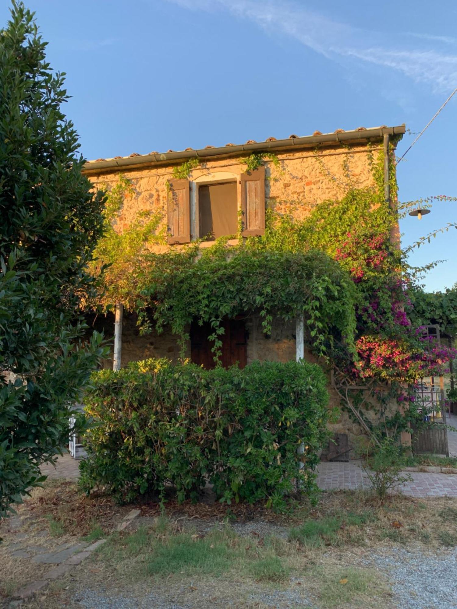 Podere Girasoli Piombino Ngoại thất bức ảnh