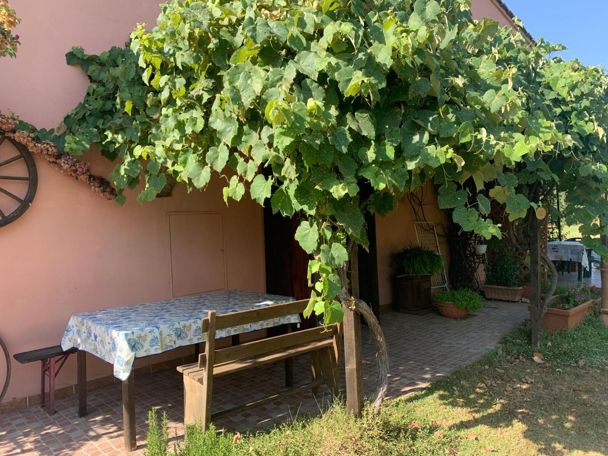 Podere Girasoli Piombino Ngoại thất bức ảnh